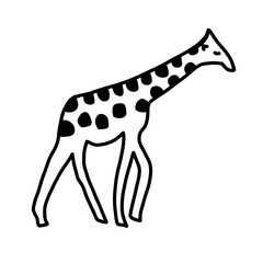 giraffe woodland animal forest living habitat natural hand drawn
