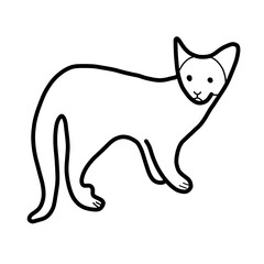 cat aware animal cute hand drawn organic line natural
