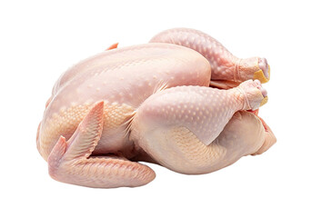 Poulet cru entier sur fond blanc.