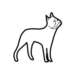 bulldog watch animal cute hand drawn organic line natural
