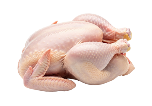 Poulet cru entier sur fond blanc.