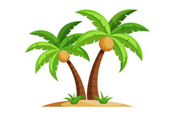 palm tree on white background
