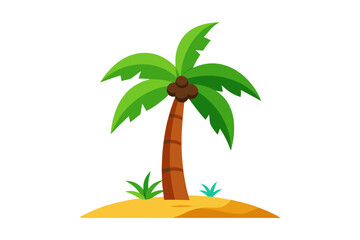 palm tree on white background
