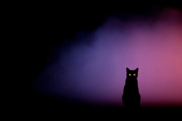 Black cat with glowing orange eyes on purple and pink foggy background, dramatic neon palette, perfect for Halloween banners.