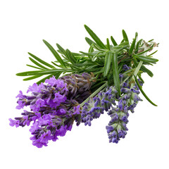 Aromatic beauty: Close-up of fresh lavender and rosemary sprigs against a black backdrop