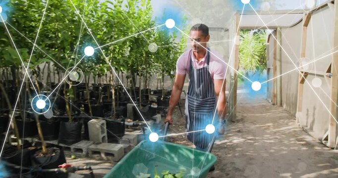 Horticulturist pushing wheelbarrow into nursery and activating sensor network while plucking leaf