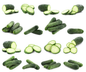 Fresh cucumbers isolated on white, collage. Whole and sliced