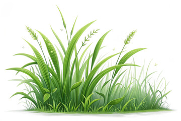 Obraz premium Detailed illustration of a lush green grass patch with vibrant blades, isolated on a white background. Perfect fresh spring meadow or nature design element