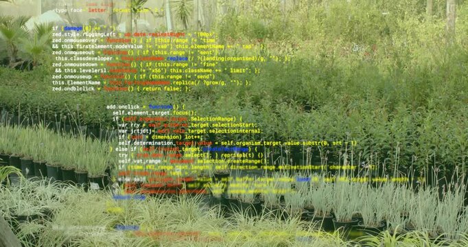 Sequence starting with JavaScript code scrolling fading on grass camera panning right showing logic