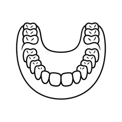Simple outline illustration of a human upper jaw and teeth © firoj