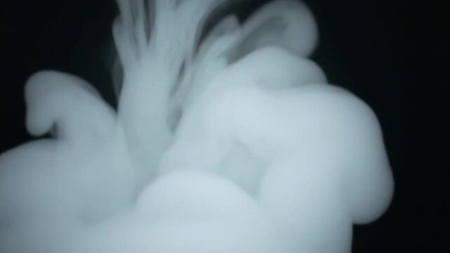 White smoke on black background. Abstract atmospheric white fog on dark background. floating fume slowly floating rises up. White fog floating on dark background