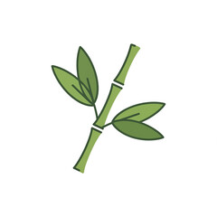Fototapeta premium green plant isolated on white background