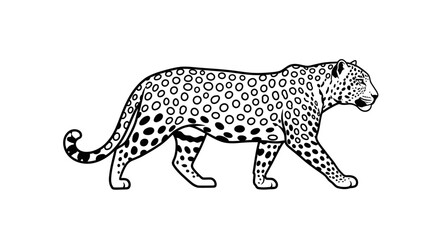 Leopard Illustration - Black and White Spotted Feline.