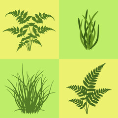 set illustration vector graphic of aquatic plants of the fern and grass type