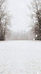 Obraz premium Winter Wonderland Background Image