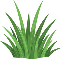 Vibrant green grass clump nature element healthy lush plant growth outdoor lawn detail vector