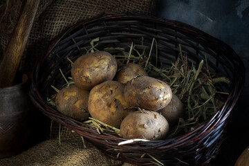 Fresh potatoes in a dark wicker basket