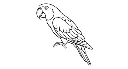 Line Drawing of a Profile Parrot.