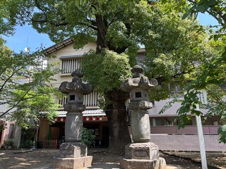 富岡八幡宮の境内