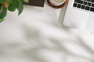 Flat lay of workspace with laptop, coffee cup, and green plant on white desk background. © wattana