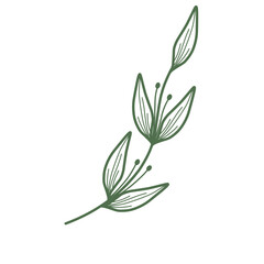 Minimalist leaf illustration set. Leaf illustration for wedding. Elegant line art leaf illustrations for wedding invitation decoration
