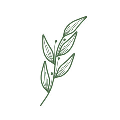 Minimalist leaf illustration set. Leaf illustration for wedding. Elegant line art leaf illustrations for wedding invitation decoration