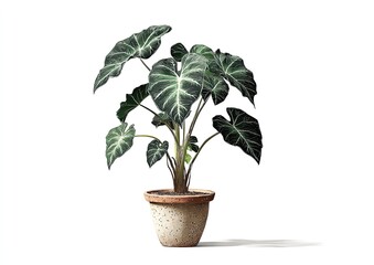 Obraz premium A lush, detailed illustration of a plant in a terracotta pot