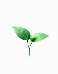PNG Paper money plant, collage element, transparent background, origami. isolated with white highlights