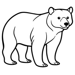 Polar bear vector illustration