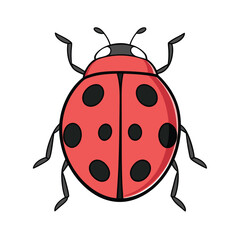 Illustration of a cute ladybug, perfect for nature and garden designs, with a colorful and cartoon style