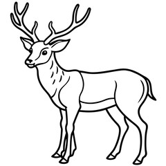 Silhouette of a deer