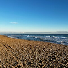 beach in the morning