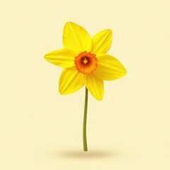 Obraz premium A single bright yellow daffodil flower with a vibrant orange trumpet stands tall on a pale background