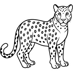 Leopard vector illustration 