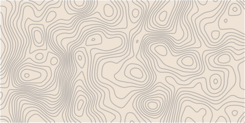 colorful wave paper curved reliefs abstract background, Abstract topographic contourscurved background, Topography map background. Vector geographic contour map. 