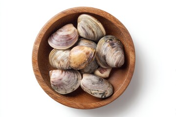 Fresh clams in a wooden bowl
