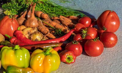 Fresh organic vegetables harvest carrots tomatoes peppers potatoes onions