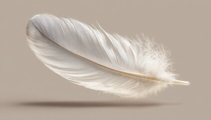 Obraz premium Delicate white feather in mid-flight