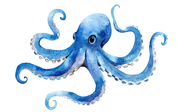 watercolor octopus clipart, watercolor clip art, isolated on a transparent background.