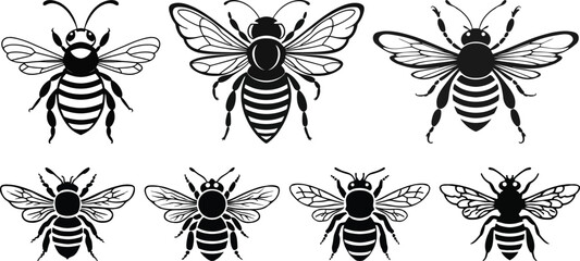 Bee Vector Illustrations And Silhouettes