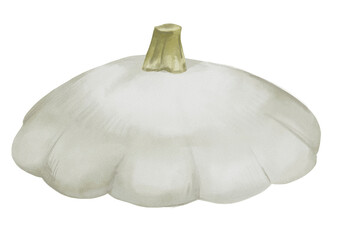 Autum pumpkin clipart set - Hand drawn watercolor PNG