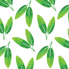 Green Leaves Pattern hand drawn watercolor illustration on white background