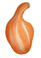 Autum pumpkin clipart set - Hand drawn watercolor PNG