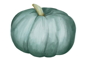 Autum pumpkin clipart set - Hand drawn watercolor PNG