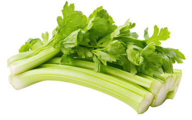 Celery isolated on white background, png