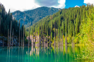 Sunken forest of Lake Kaindy in Kazakhstan. Beautiful mountain natural landscape. A blue lake with...
