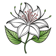  Elegant Outline Flower with Green Leaves