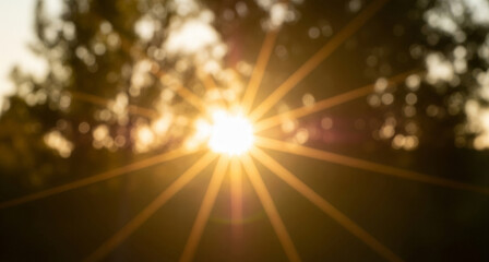 Obraz premium Abstract natural background of a bright sun flare and bokeh lights shining through trees
