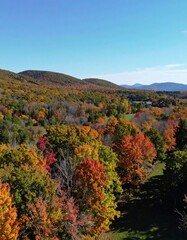 Autumn foliage, mountain valley