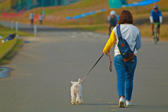 A woman and her fluffy white dog share a calm walk on a wide park path, with cyclists and joggers passing by in the golden afternoon light.